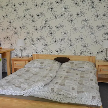 Pensionat Penzion Frysava 2*