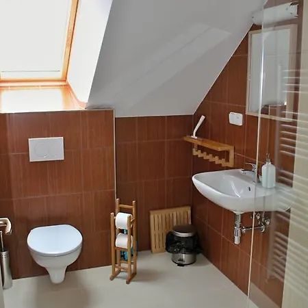 Penzion Frysava Pensionat 2*